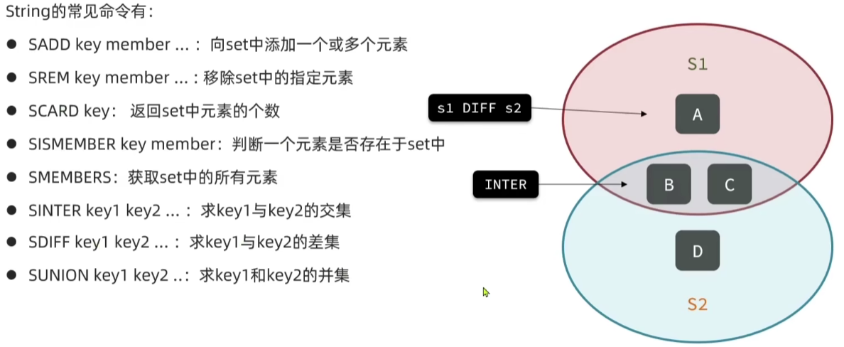 Set类型常见命令